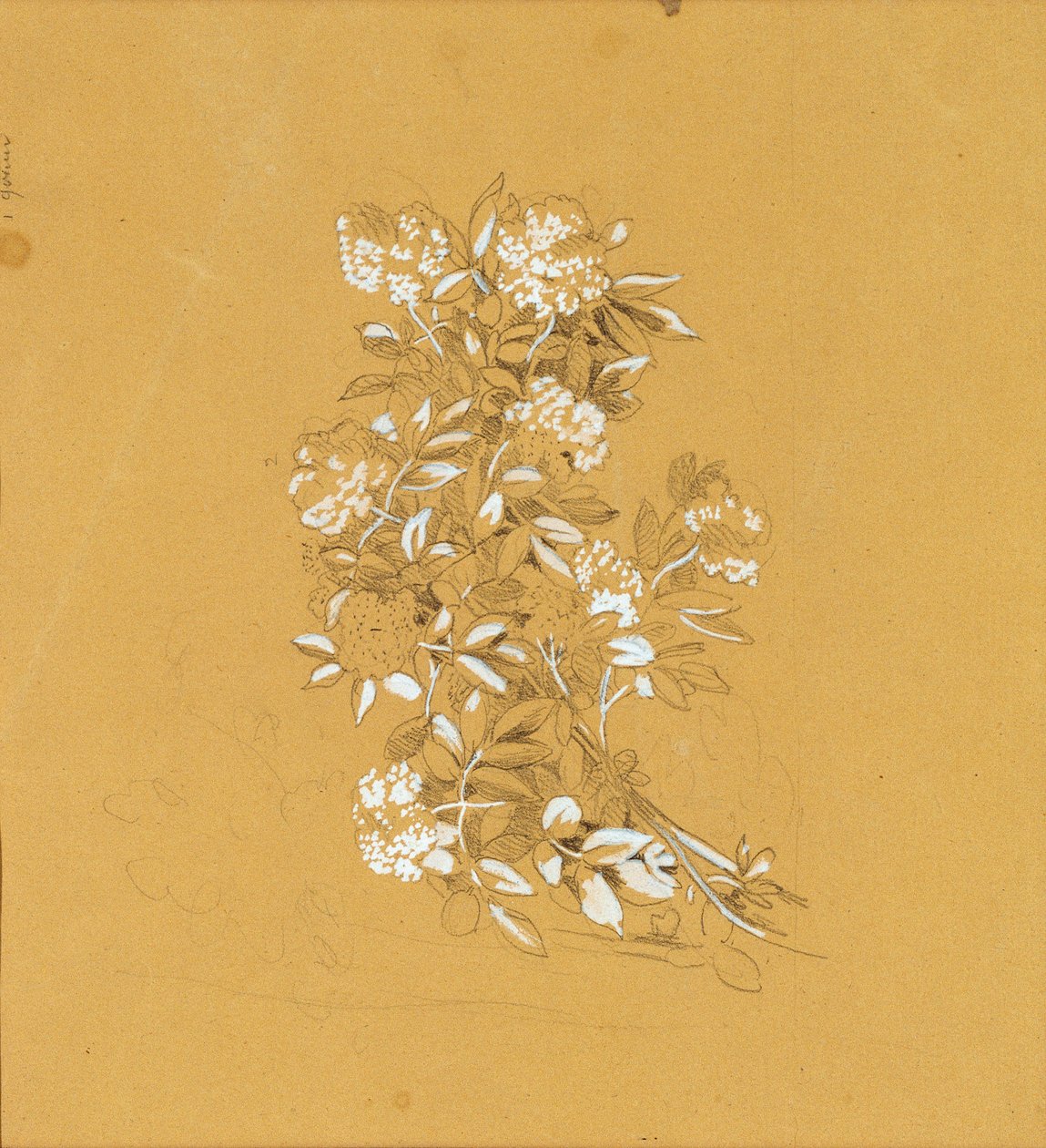 Bukiet Blumen autorstwa Johann Peter Krafft