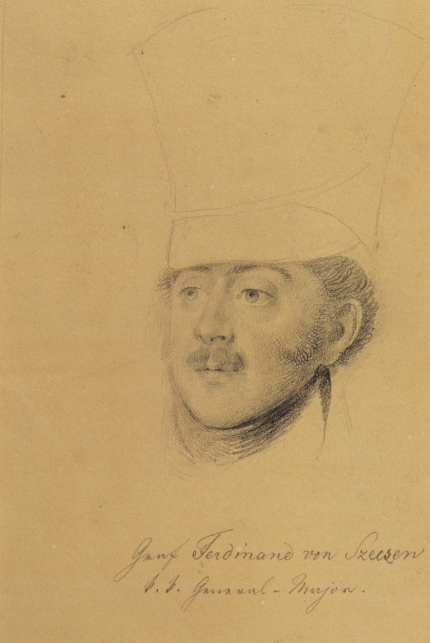 Hrabia Ferdynand Szeczeński autorstwa Johann Peter Krafft