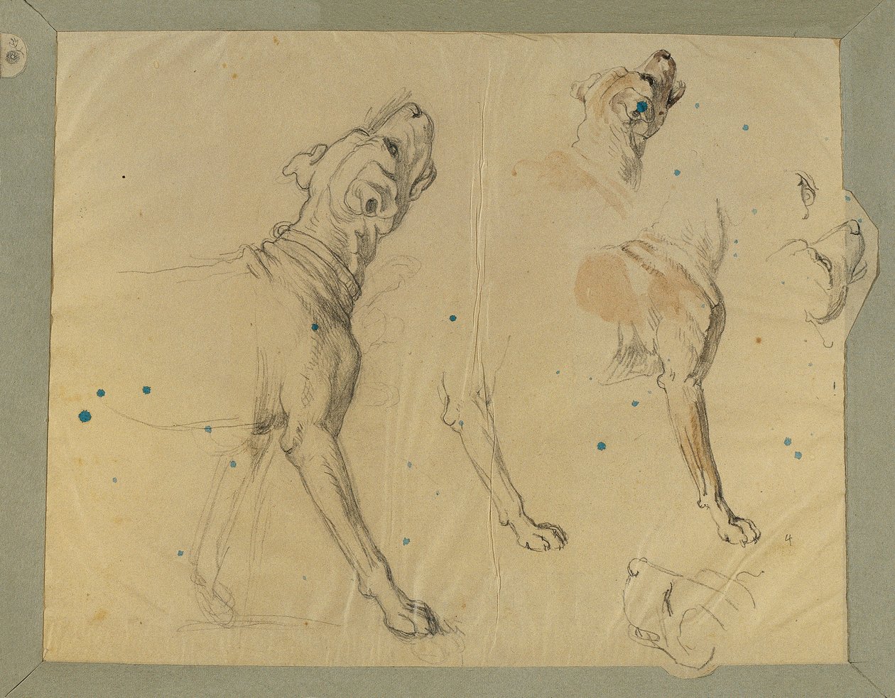 Studium psów na „Powrót do domu człowieka z Landwehry” (1820) autorstwa Johann Peter Krafft