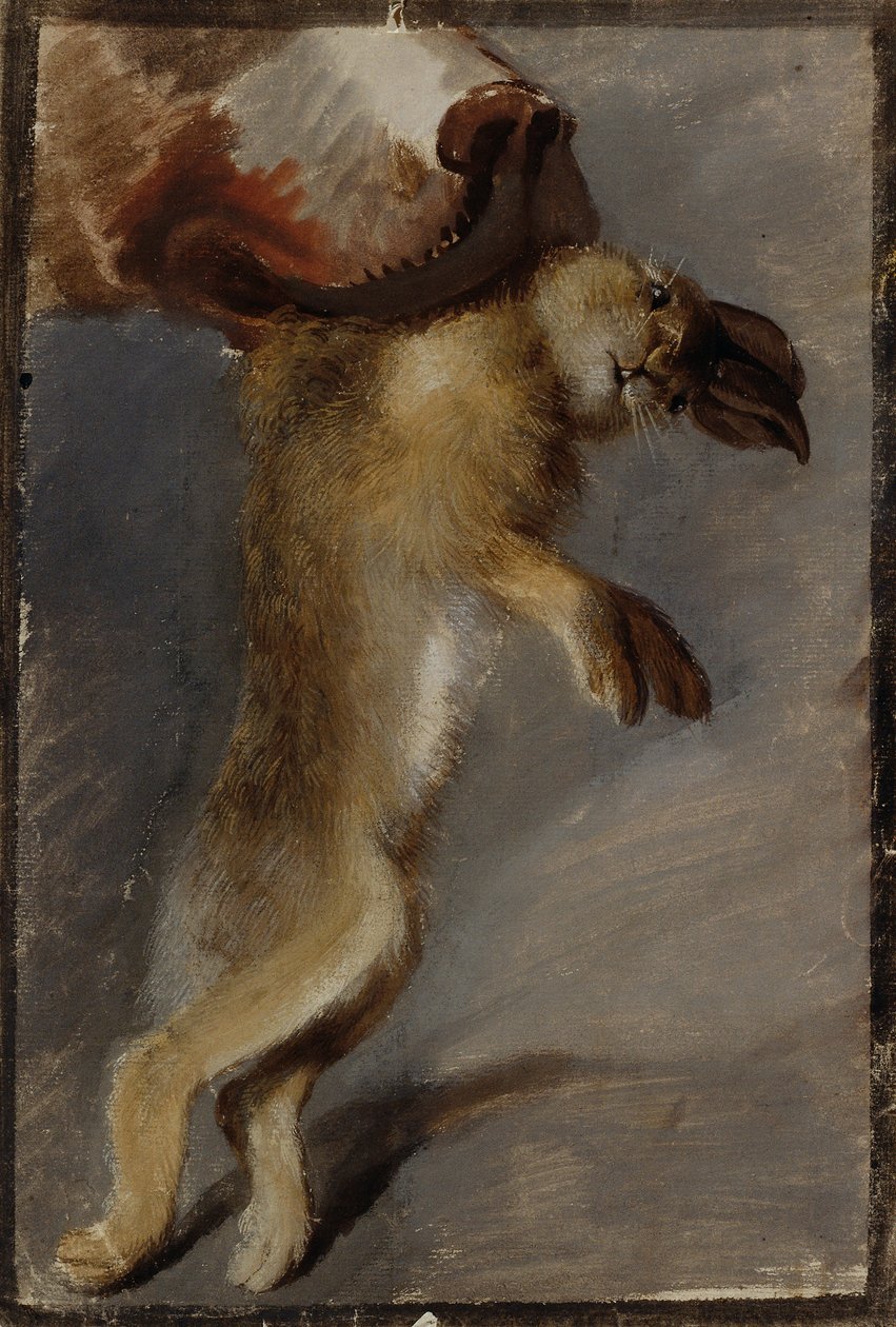 Badanie zająca autorstwa Johann Peter Krafft