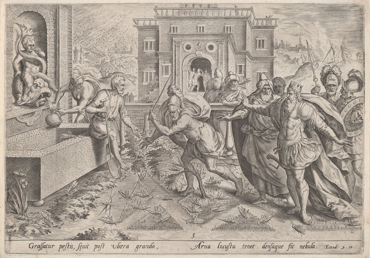 Plaga szarańczy, c.1585. autorstwa Johann Sadeler I