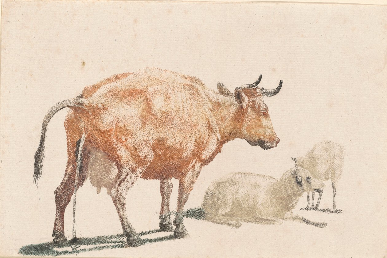 Sika Krowa, lata 90. XVII wieku. autorstwa Johann Teyler