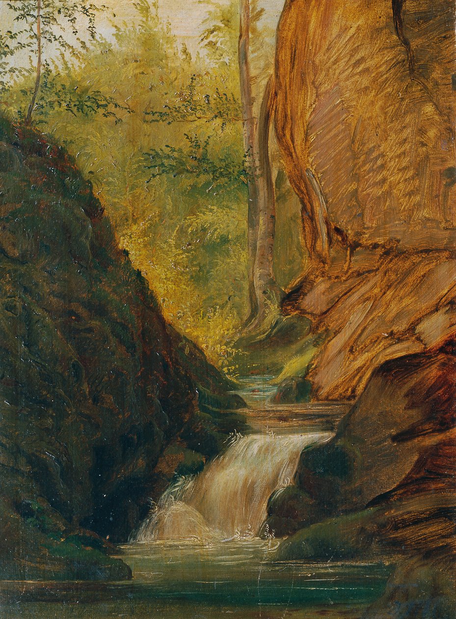 Waldbach autorstwa Johann  Till der Jüngere