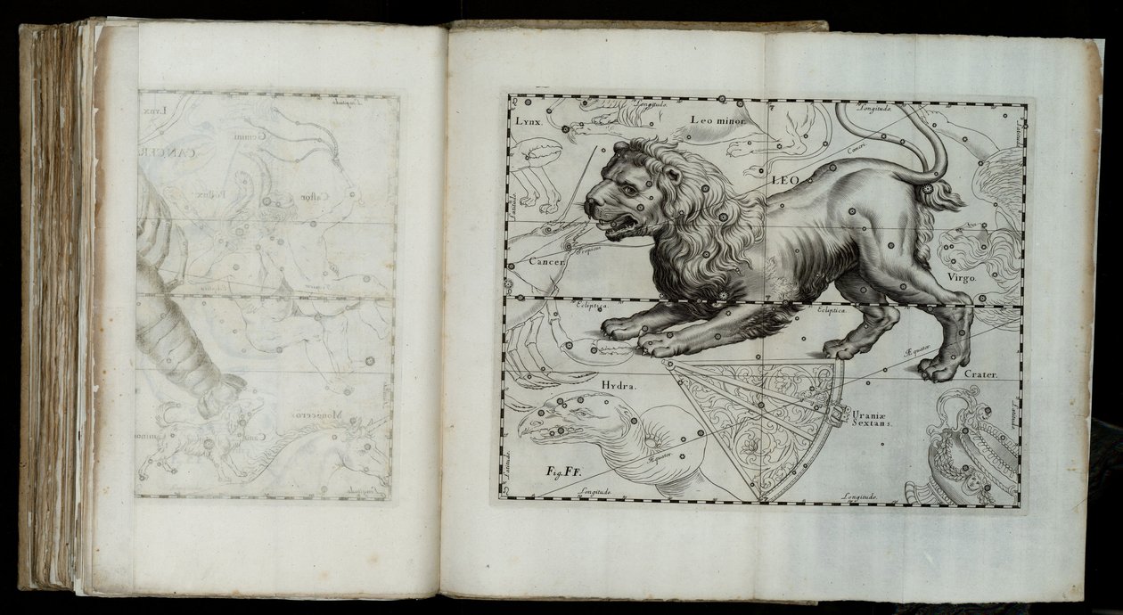 Lew (konstelacja), z „Prodromus astronomii” autorstwa Johannes Hevelius