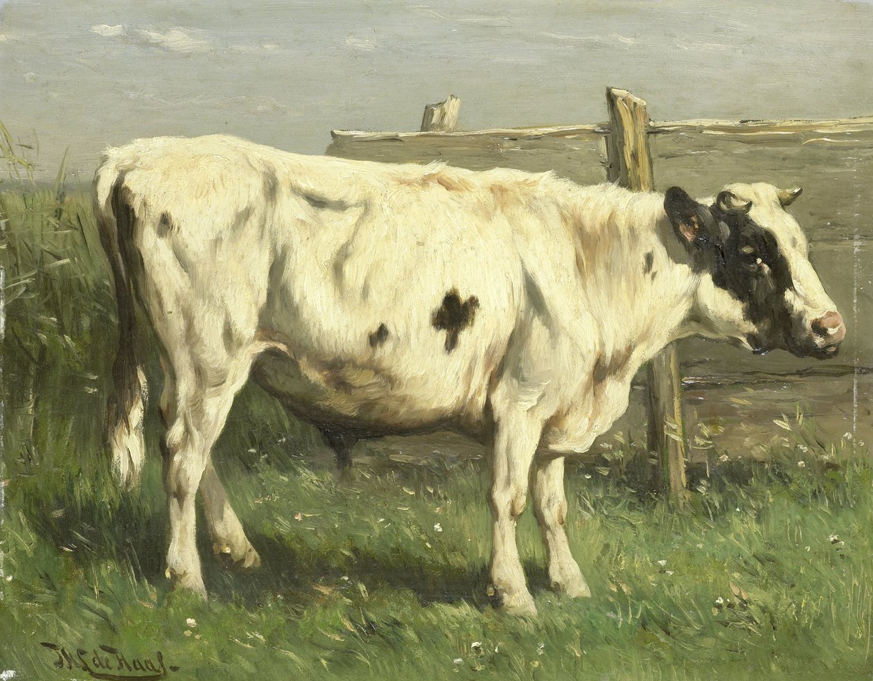 Młody byk autorstwa Johannes Hubertus Leonardus de Haas