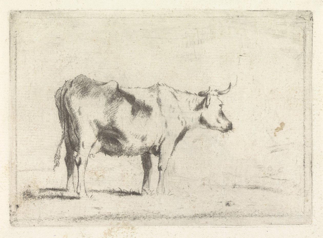 Krowa, w prawo autorstwa Johannes Janson (possibly)