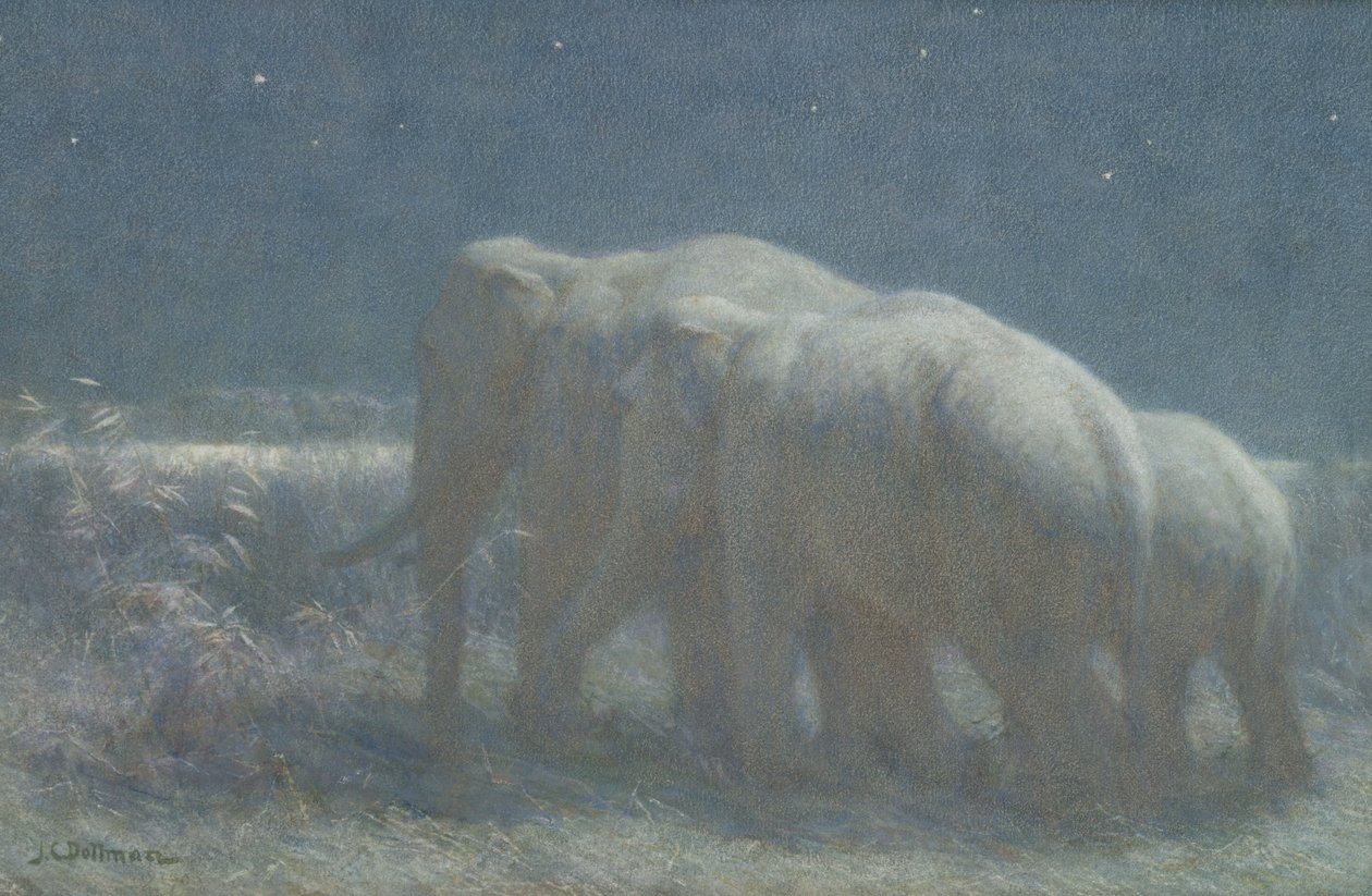 Noc 1908 (wc i kreda na papierze) autorstwa John Charles Dollman