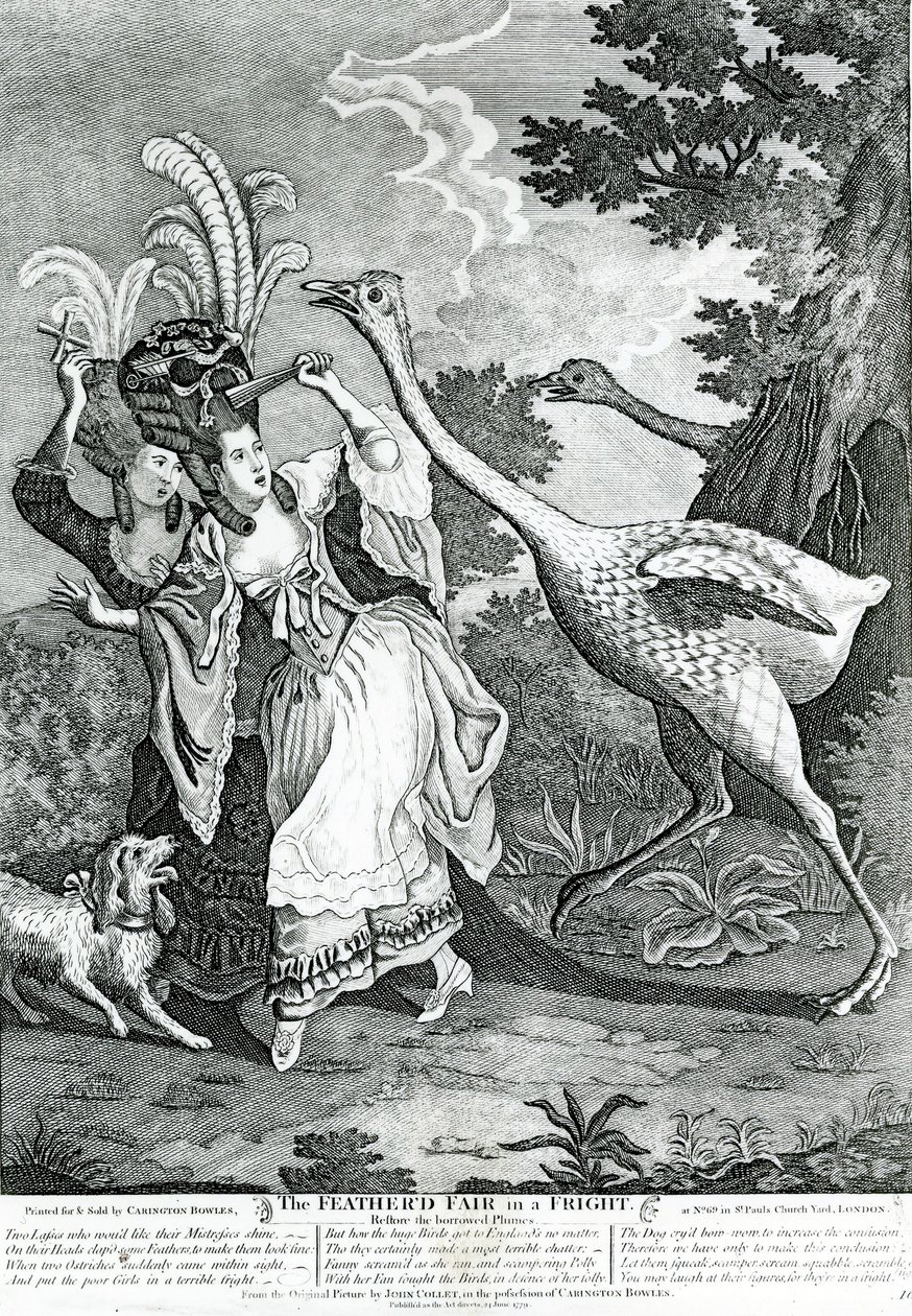 Pierzasty przyjaciel w strachu, 1779 autorstwa John Collet