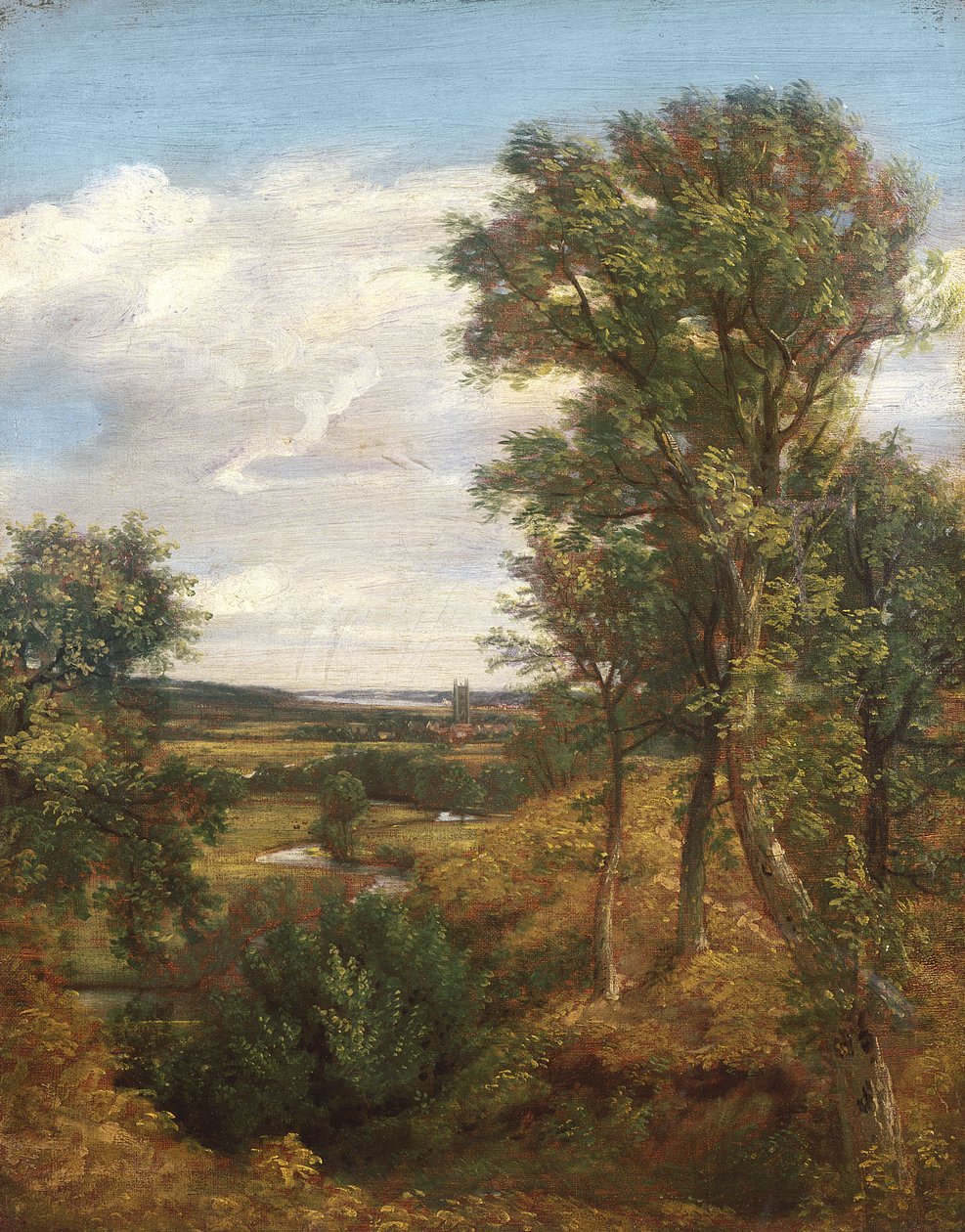 Dadham Walia, 1802 autorstwa John Constable