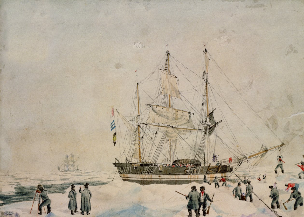 Chodząc w stadzie, Ross Expedition, 1842 autorstwa John Edward Davis
