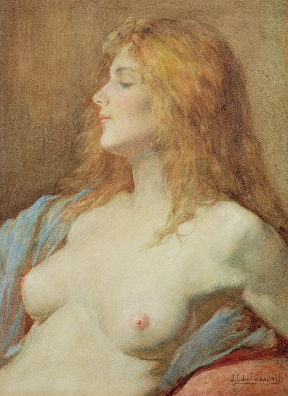 Rudy autorstwa John Edward Goodall