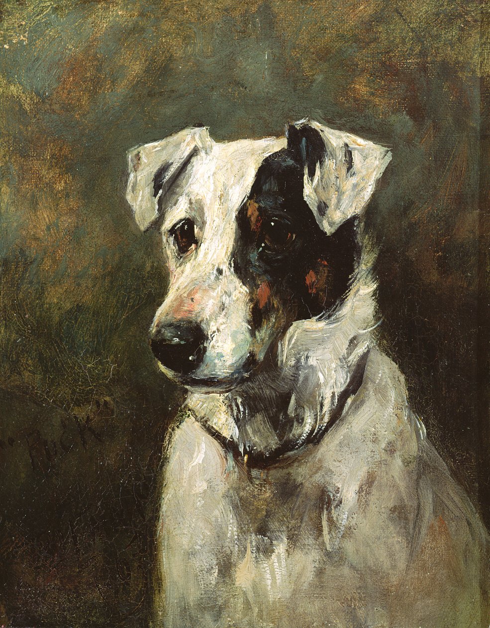 Puck, 1903 autorstwa John Emms