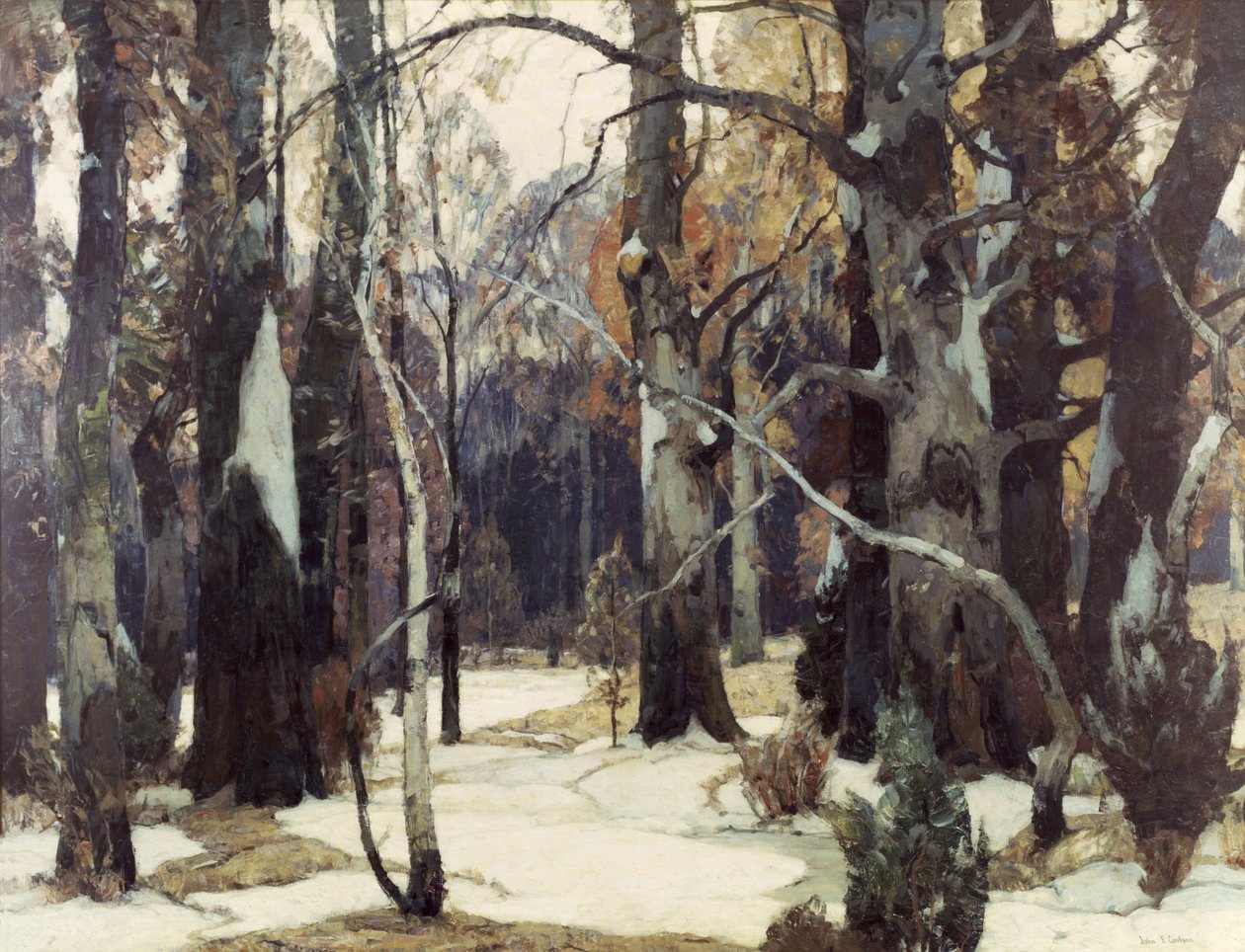 Widoki leśne, ok. 1932 r. autorstwa John Fabian Carlson
