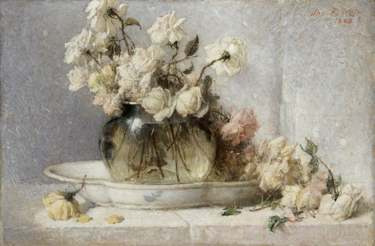 Róże autorstwa John Ferguson Weir