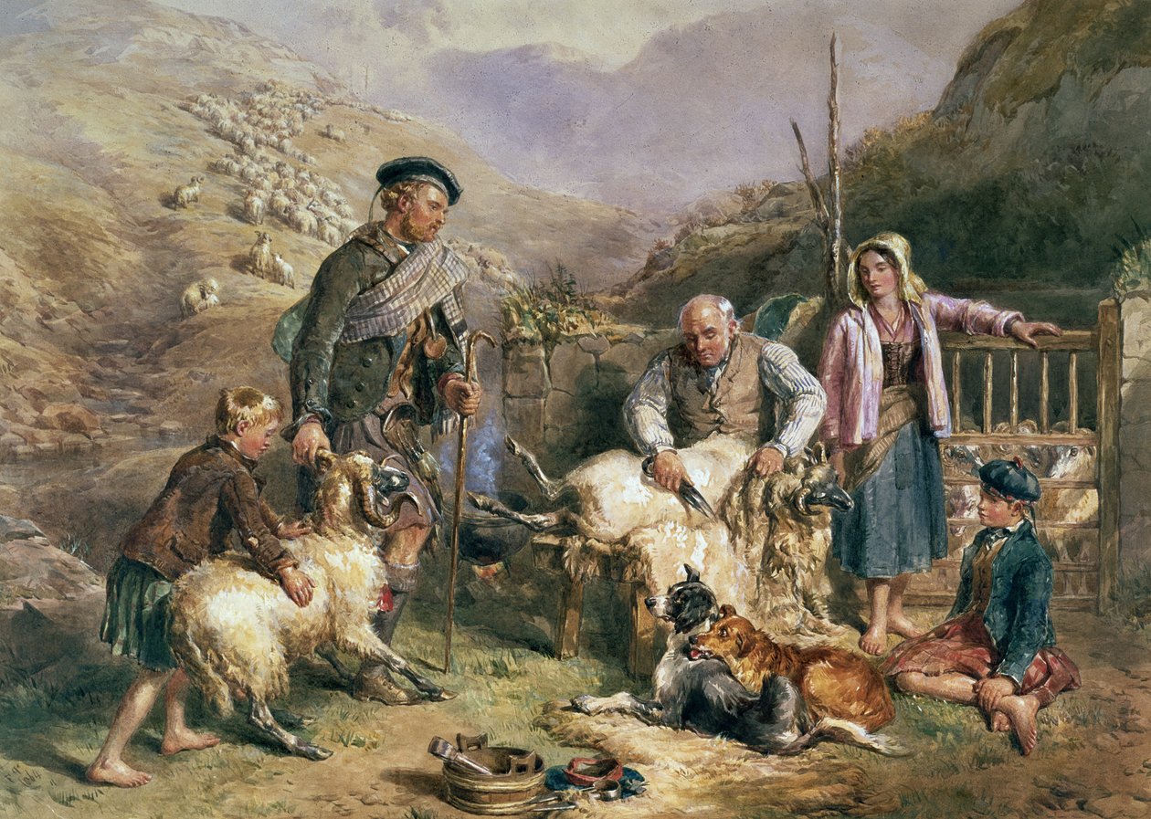 Strzyżenie owiec autorstwa John Frederick Tayler