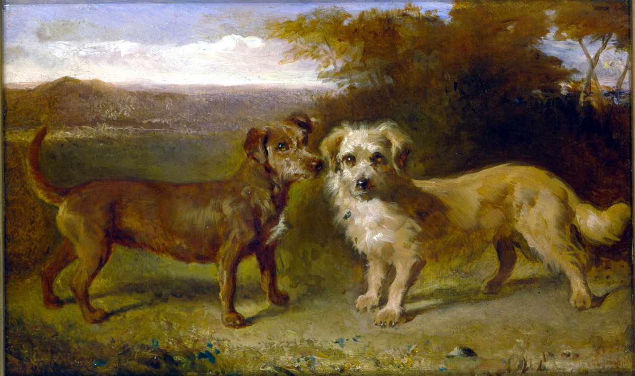 Towarzysze autorstwa John Glass