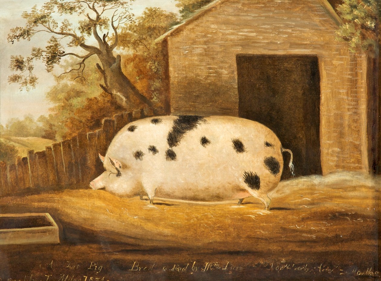 Gloucester Old Spot Pig, 1834 autorstwa John Miles of Northleach
