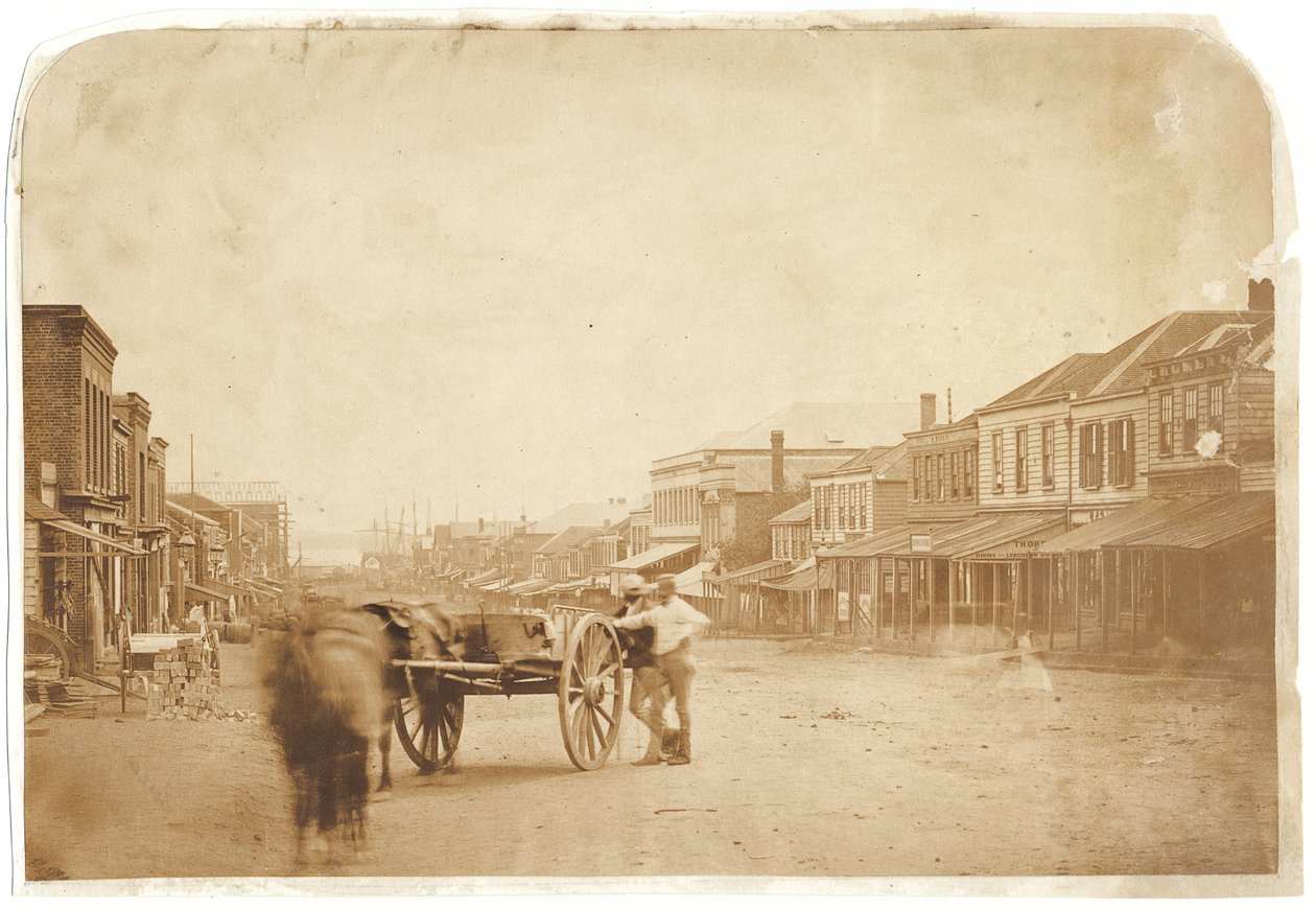 Upper Queen Street, Auckland, po 1859 (albumenizowany druk solny) autorstwa John Nicol Crombie