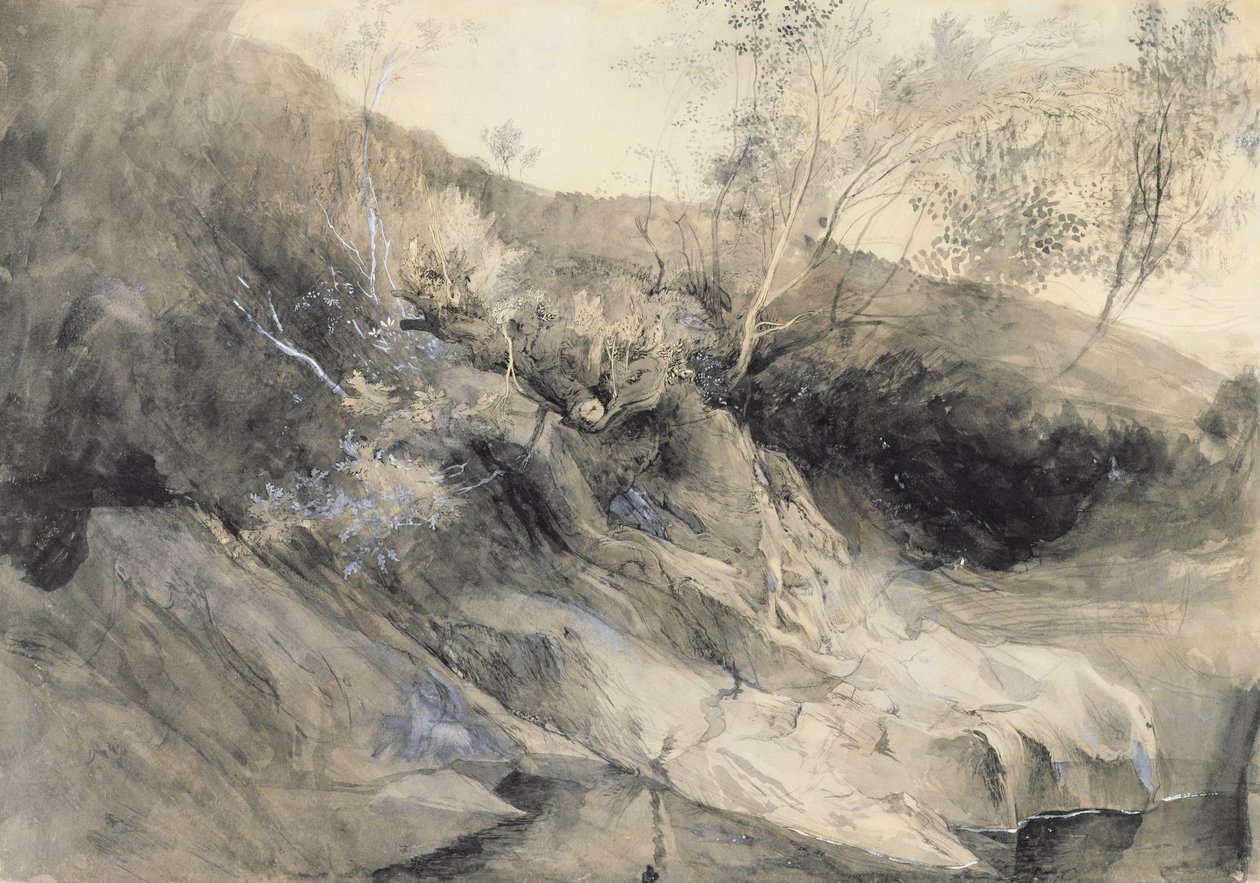 Skalisty brzeg rzeki - Verso: szkic liści, ok. 1853 (przemyj piórem i tuszem nad grafitem na papierze) autorstwa John Ruskin