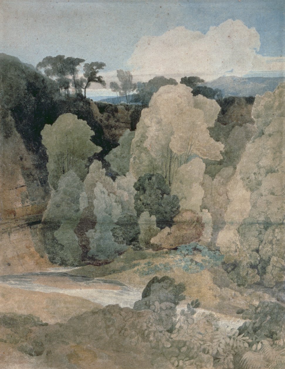 Łokieć diabła, Park Rokeby, ok. 1806-7 (ołówek, wc na papierze) autorstwa John Sell Cotman