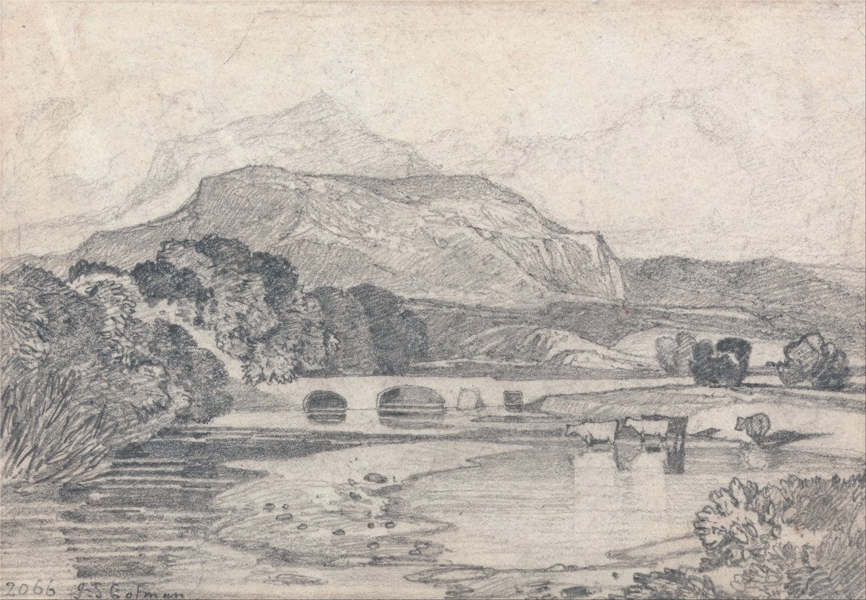 Tan-y-Bwlch, Północna Walia autorstwa John Sell Cotman