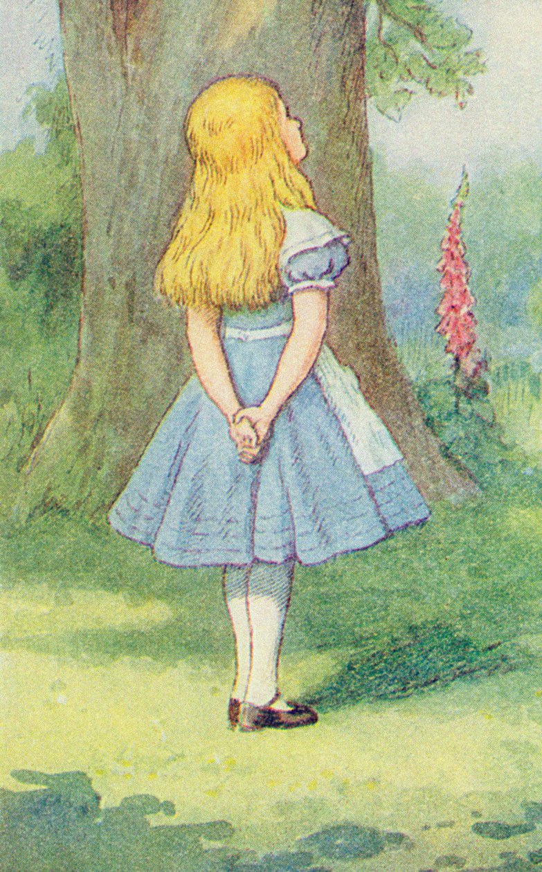 Alicja i kot z Cheshire, ilustracja z „Alicji w krainie czarów” Lewisa Carrolla (1832-9) (detal z 264483) autorstwa John Tenniel