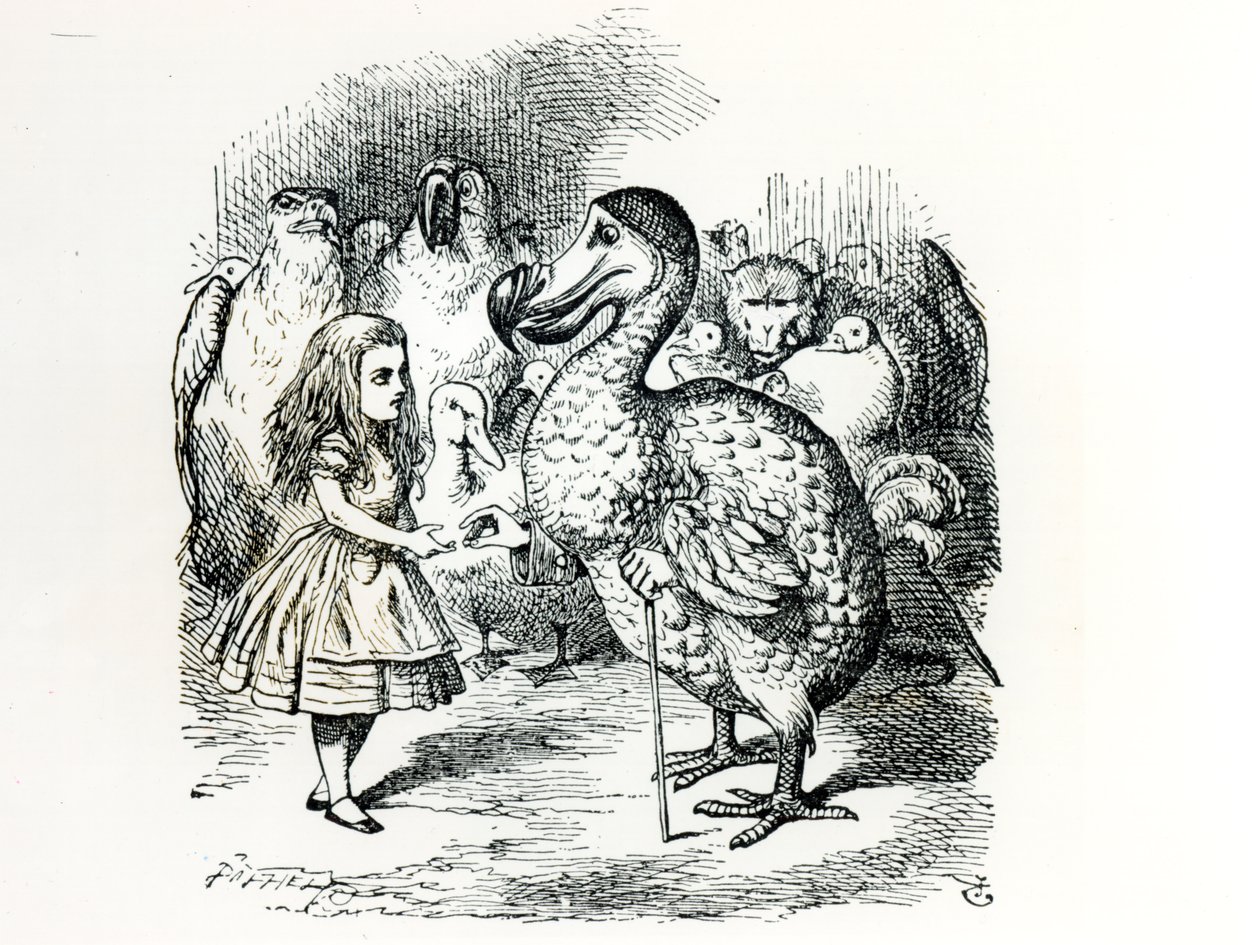 Alicja spotyka Dodo, ilustracja z „Przygody Alicji w Krainie Czarów” Lewisa Carrolla, 1865 autorstwa John Tenniel