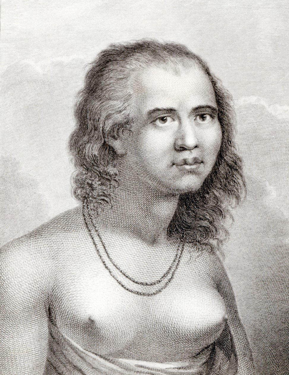 Eaoo poli-ийн эмэгтэй autorstwa John Webber