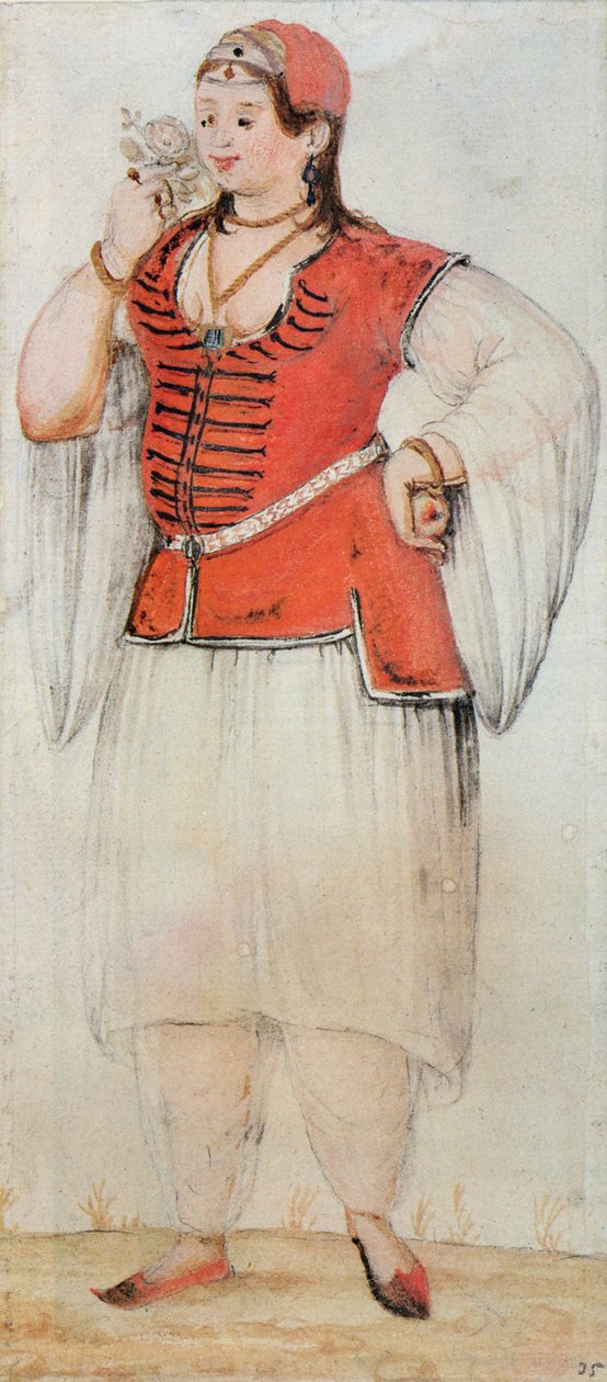 Грек эсвэл Турк эмэгтэй поли autorstwa John White