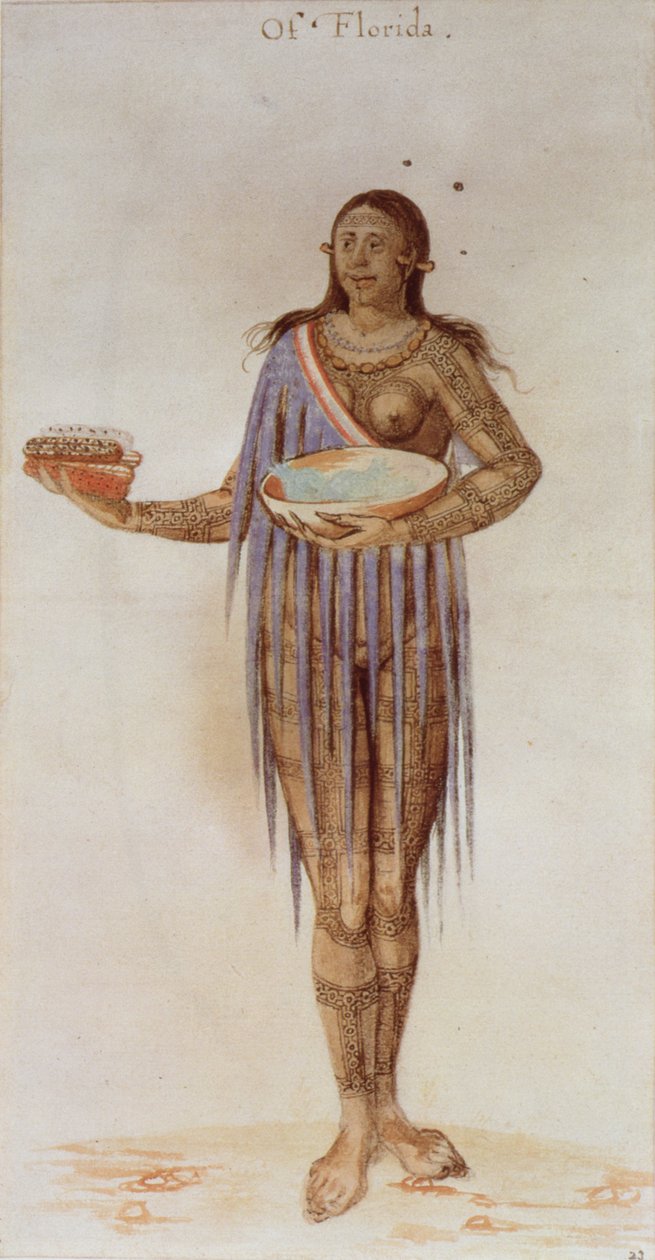 Indianka z Florydy autorstwa John White