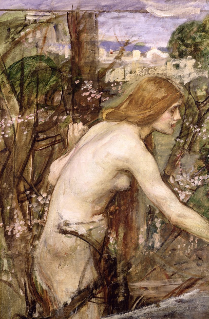 Zbieracz kwiatów (olej na płótnie położony na płycie) autorstwa John William Waterhouse