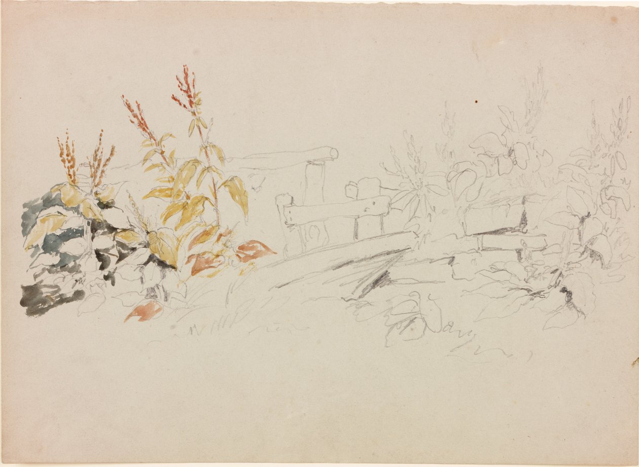 Nature Study (ołówek i akwarela na papierze (szary)) autorstwa John Wilson Carmichael