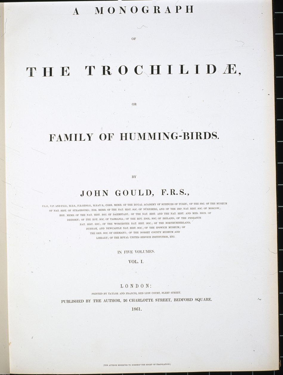Frontyspis (lito ręcznie kolorowane) autorstwa John (after) Gould