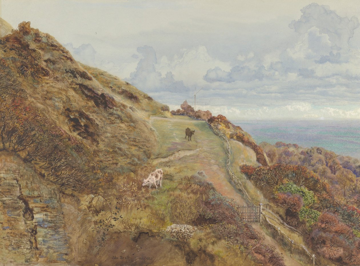 Bonchurch Downs, 1865. autorstwa John Brett
