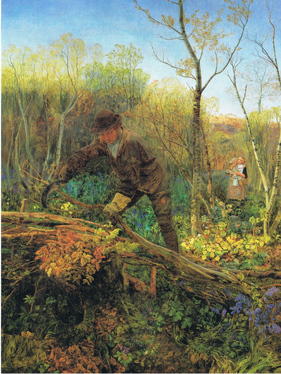 żywopłot autorstwa John Brett