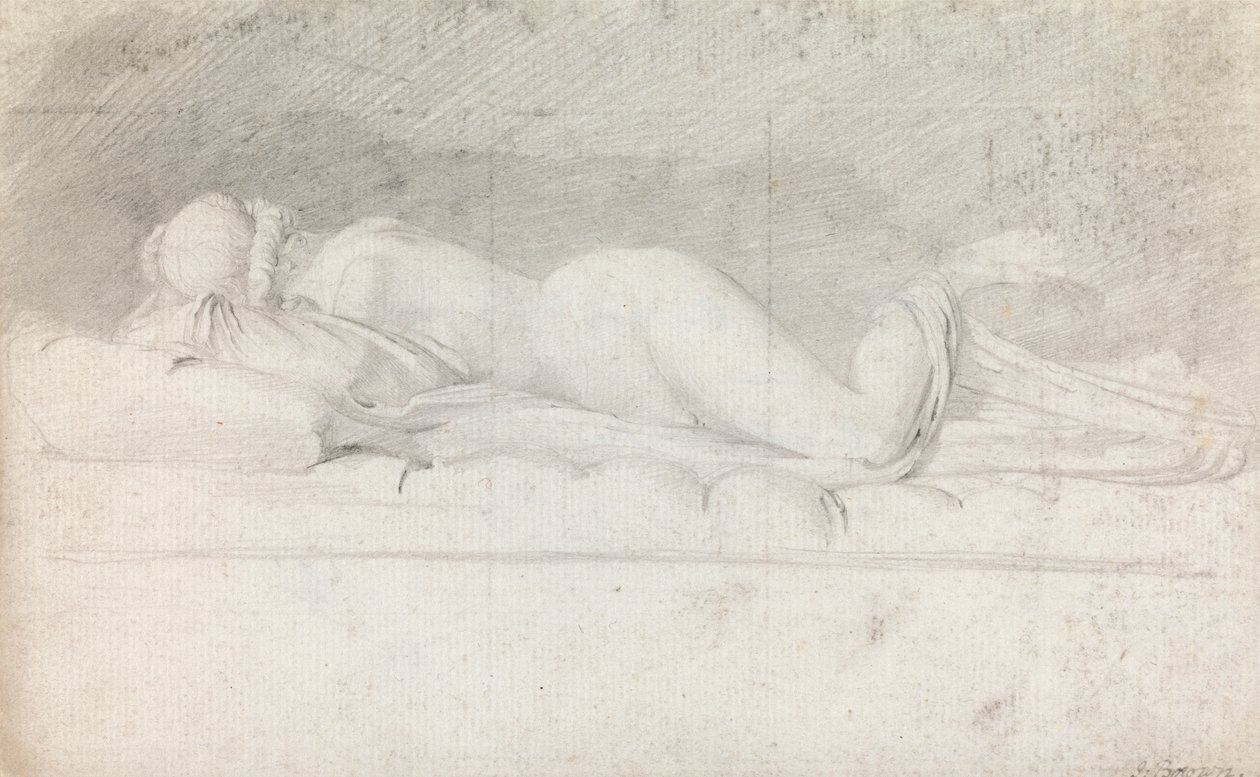Studium hermafrodyty autorstwa John Brown