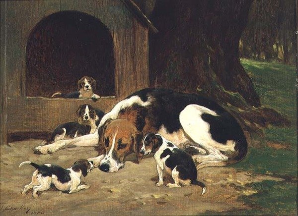 Suka Foxhound z jej miotem autorstwa John Charlton