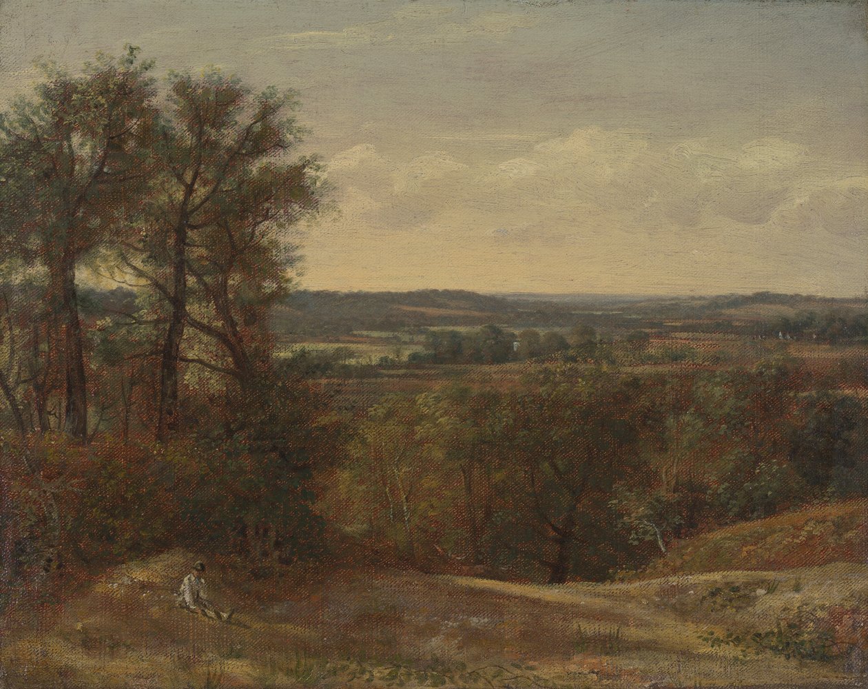 Dadham Wale autorstwa John Constable