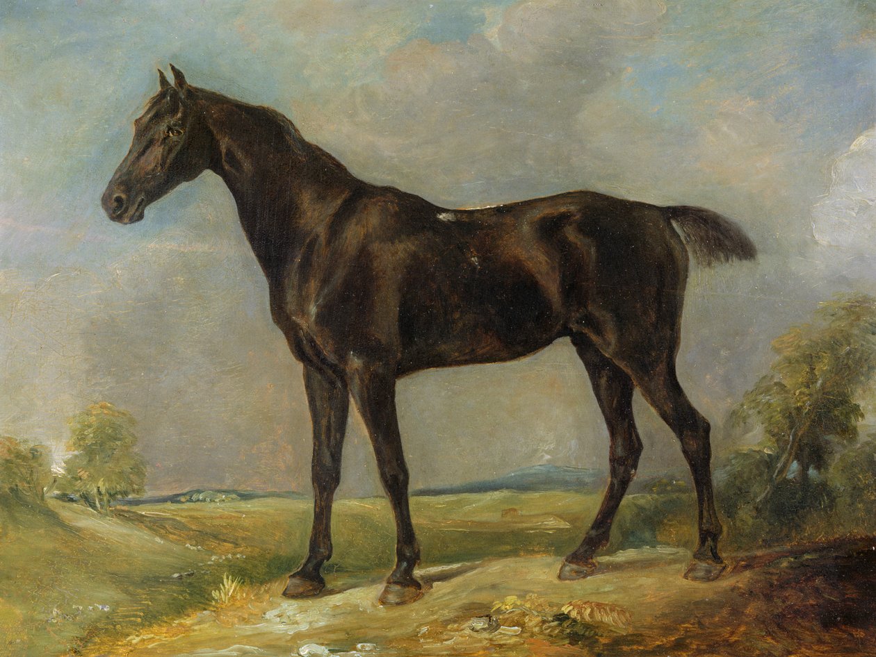 Czarny koń konny Golding Constable, ok. 1805-10 autorstwa John Constable