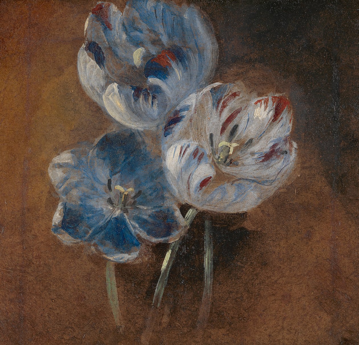 Studium trzech tulipanów papug autorstwa John Constable