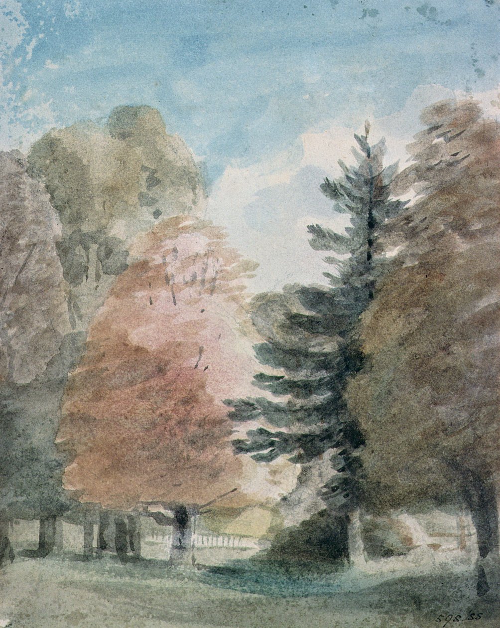Studium drzew w parku (akwarela) autorstwa John Constable