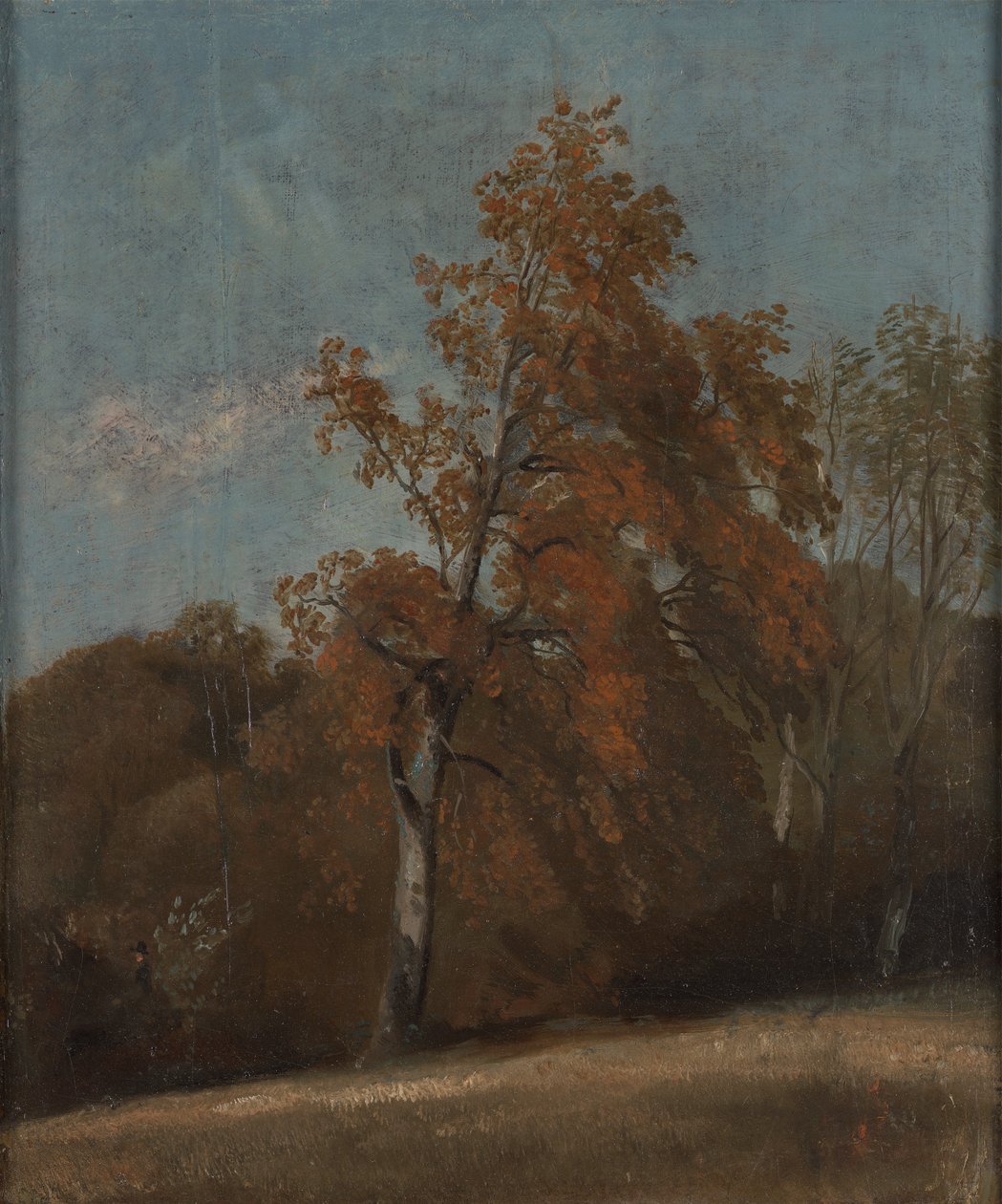 Estudo de um Ash Treepolish autorstwa John Constable