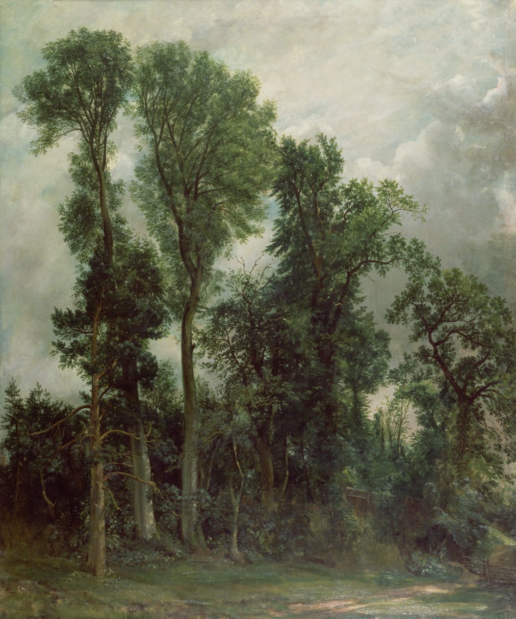 Drzewa w Hampstead autorstwa John Constable