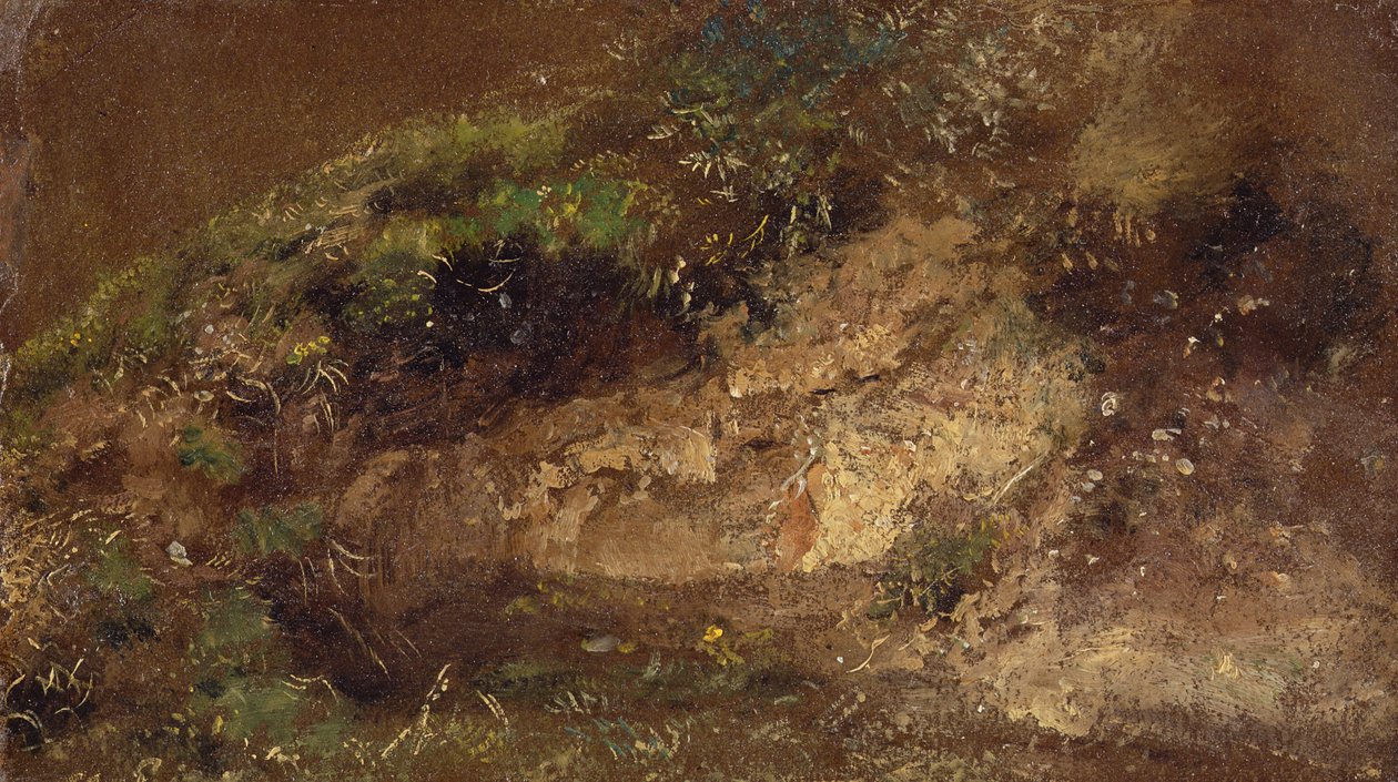 Zarośla, ok. 1821 (olej na papierze na desce) autorstwa John Constable