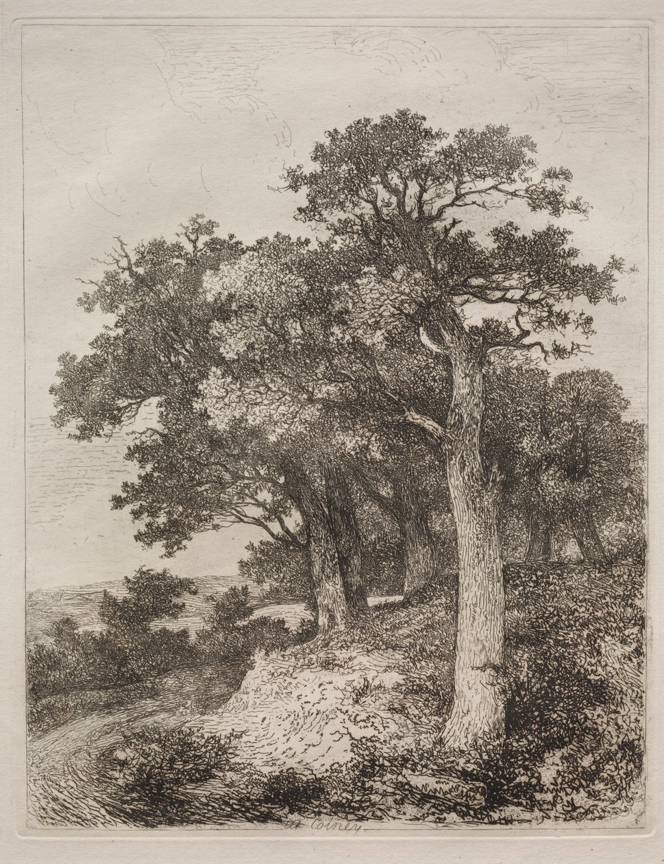 W Colney. autorstwa John Crome