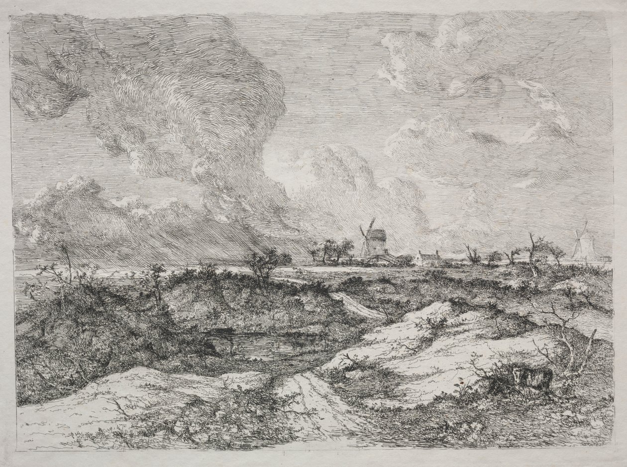 Wrzosowisko Myszy autorstwa John Crome