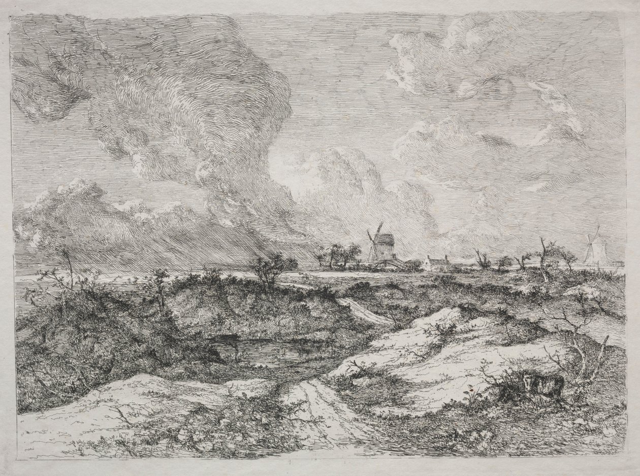 Wrzosowisko Myszy, ok. 1930 r. 1810-13. autorstwa John Crome