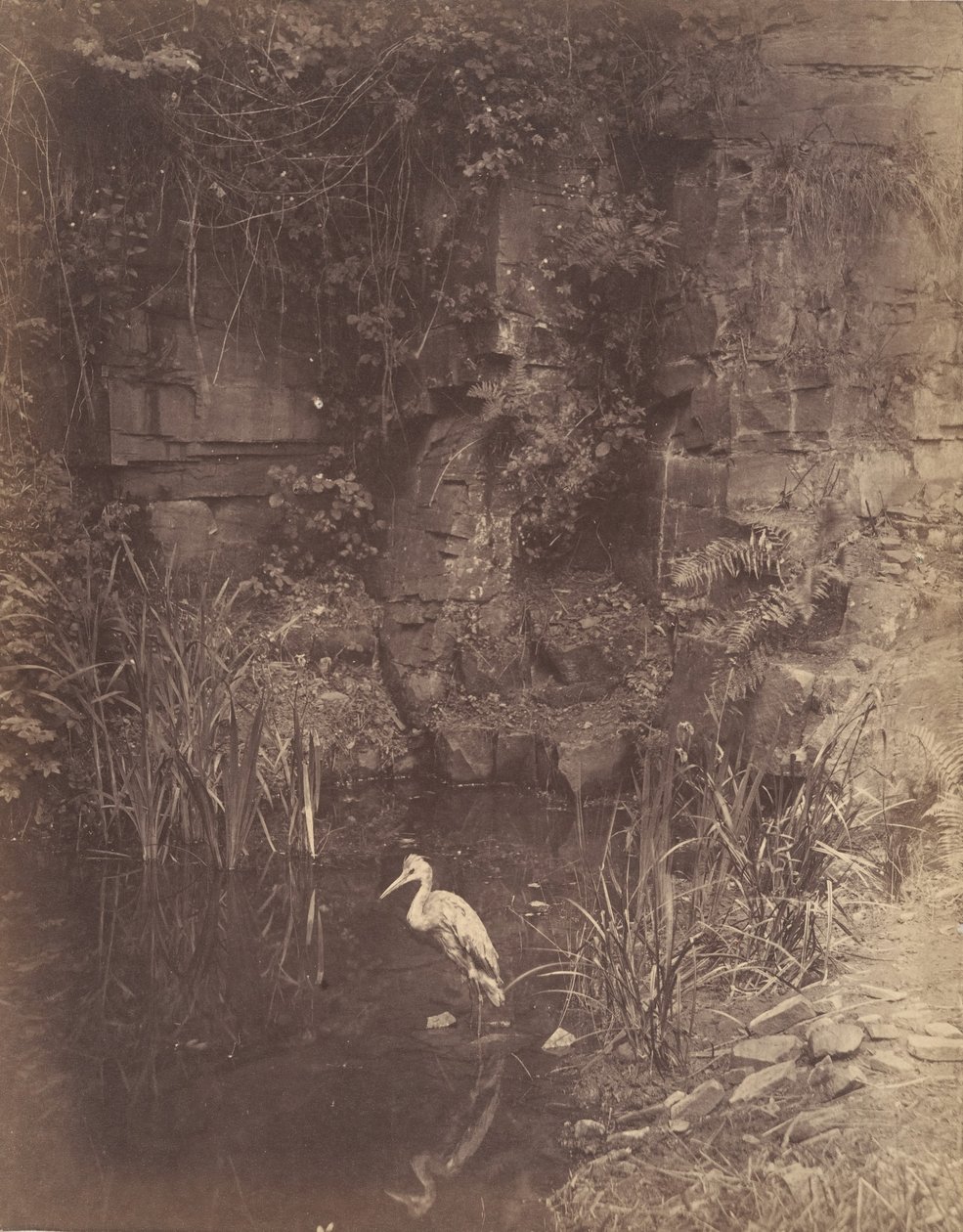 Rybak, nie. 2, 1856. autorstwa John Dillwyn Llewelyn