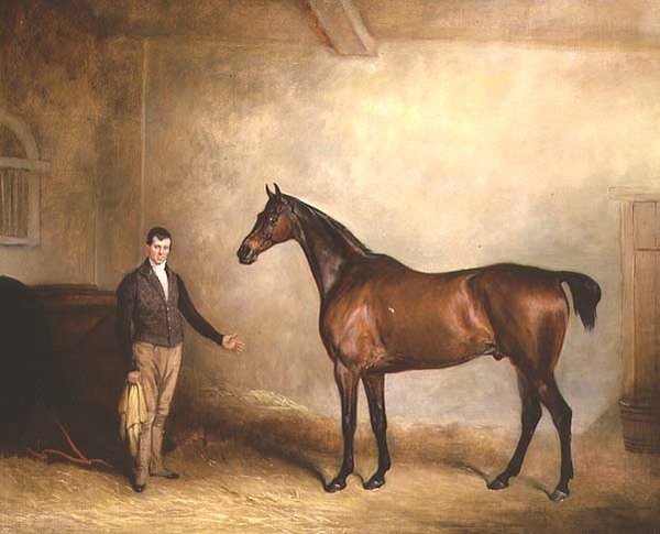 „Claxton” Charlesa Neila Hogga Bay Hunter autorstwa John E. Ferneley
