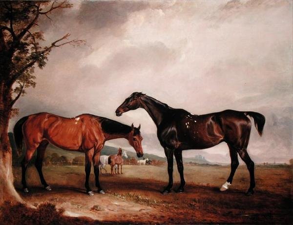 Longford Lass i Żyd autorstwa John E. Ferneley